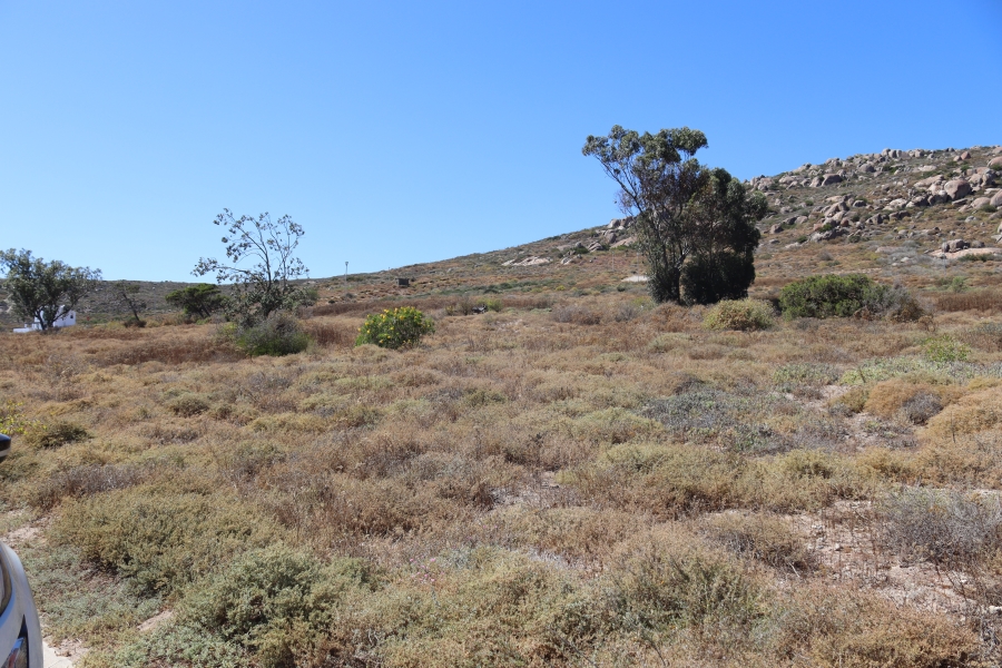 0 Bedroom Property for Sale in St Helena Views Western Cape